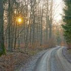 Abend im Wald (por la tarde en el bosque)