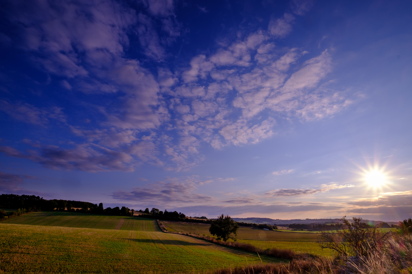 Abend in den Cotswolds 1