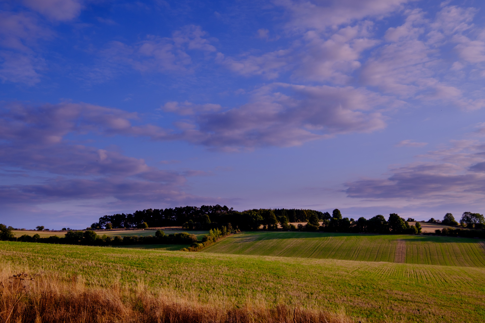 Abend in den Cotswolds 2