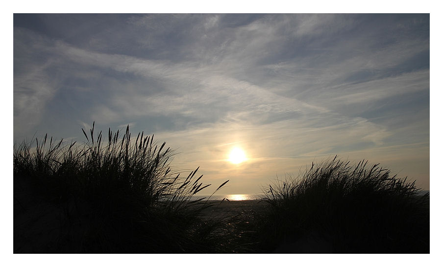 Abend in den Dünen