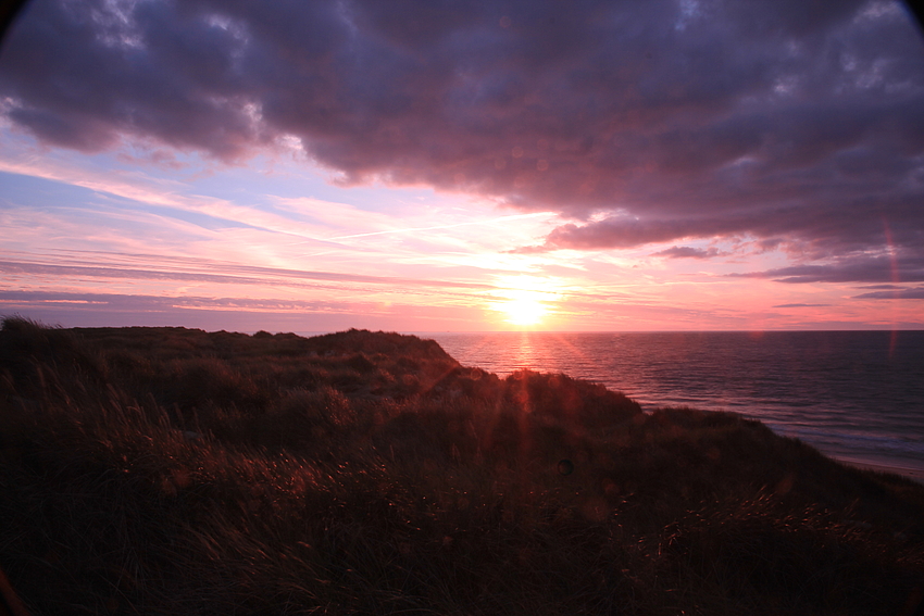 Abend in den Dünen