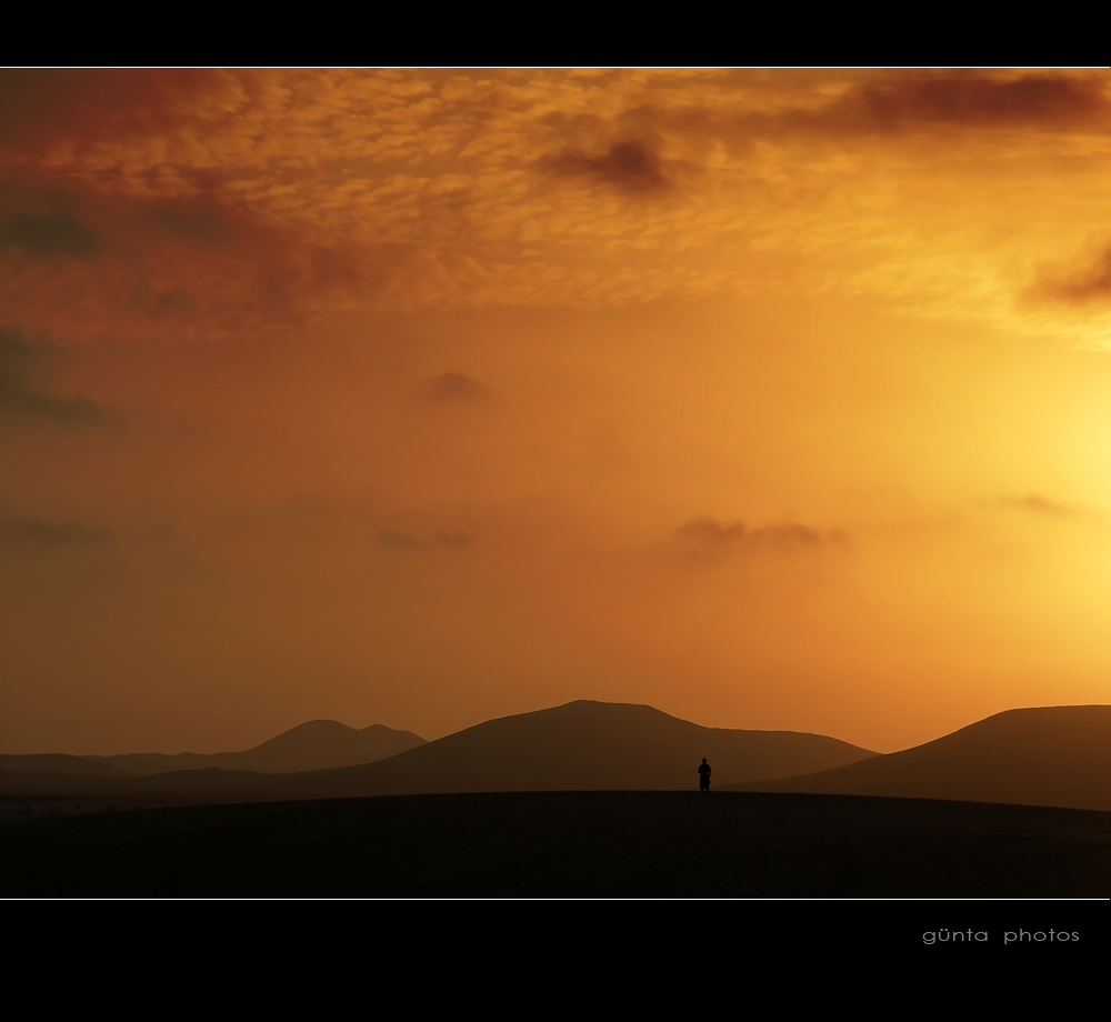 Abend in den Dünen