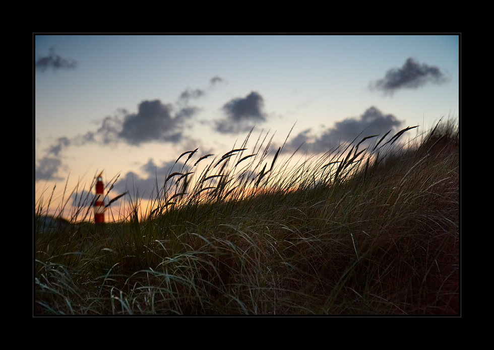 Abend in den Dünen