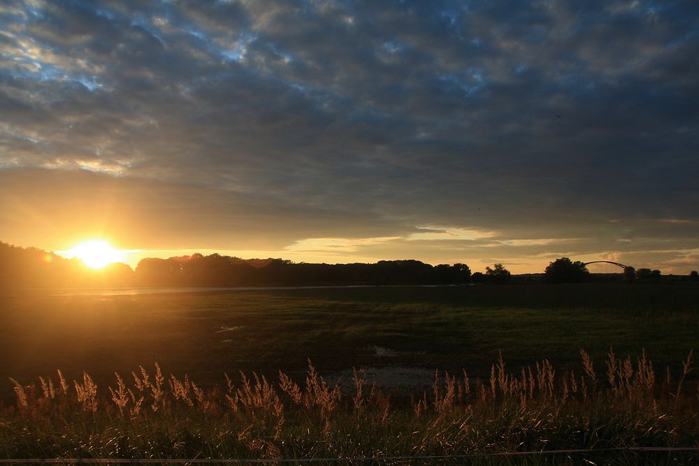 Abend in den Elbwiesen