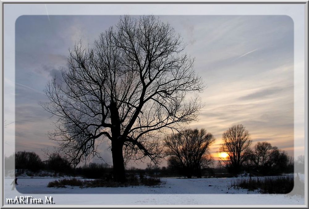 Abend in der Aue (mit Gedicht)