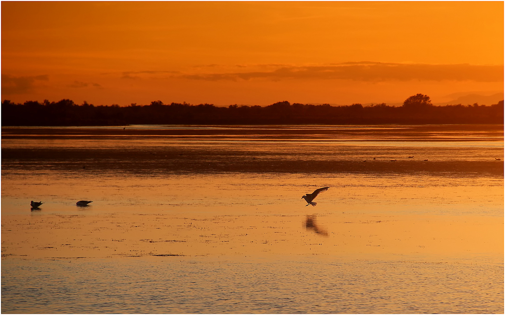 Abend in der Camargue