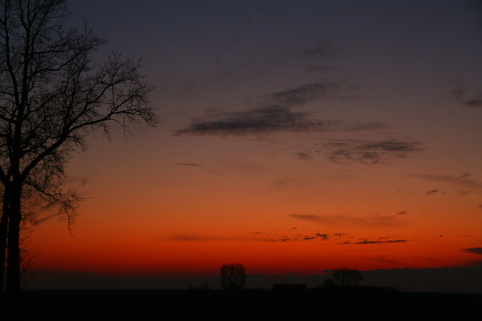 Abend in der Elbmarsch...