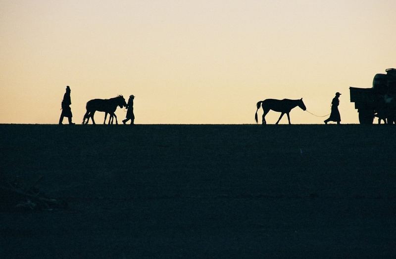 Abend in der Gobi