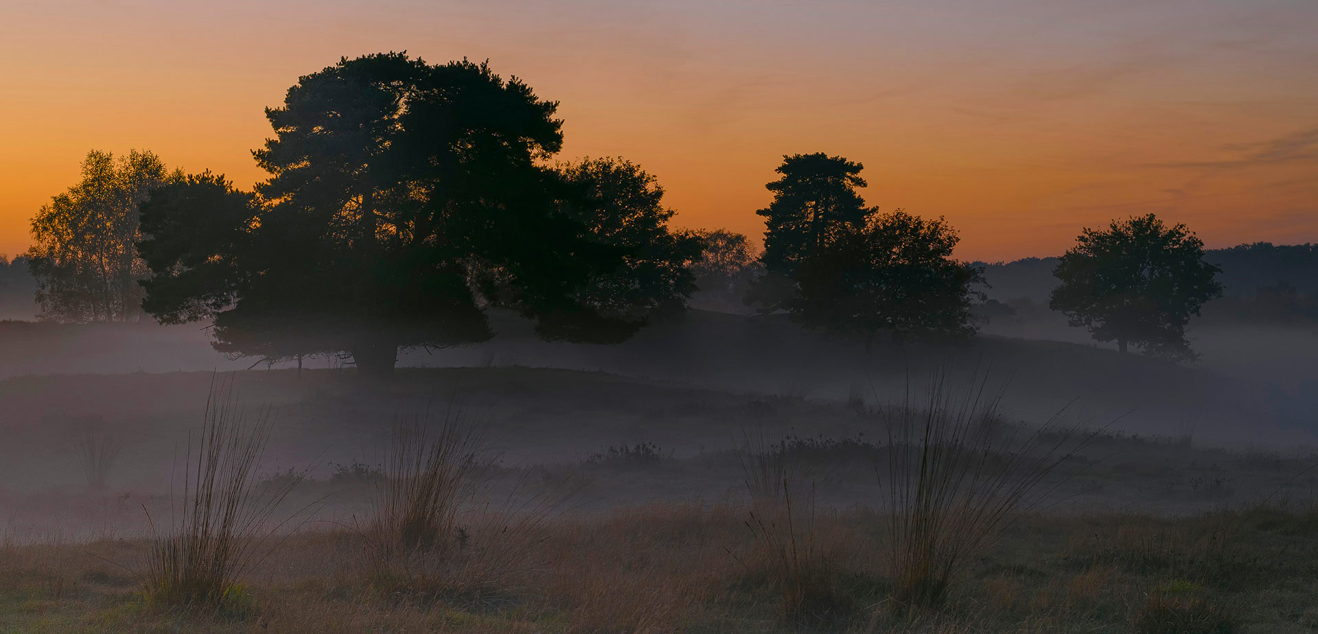 Abend in der Heide