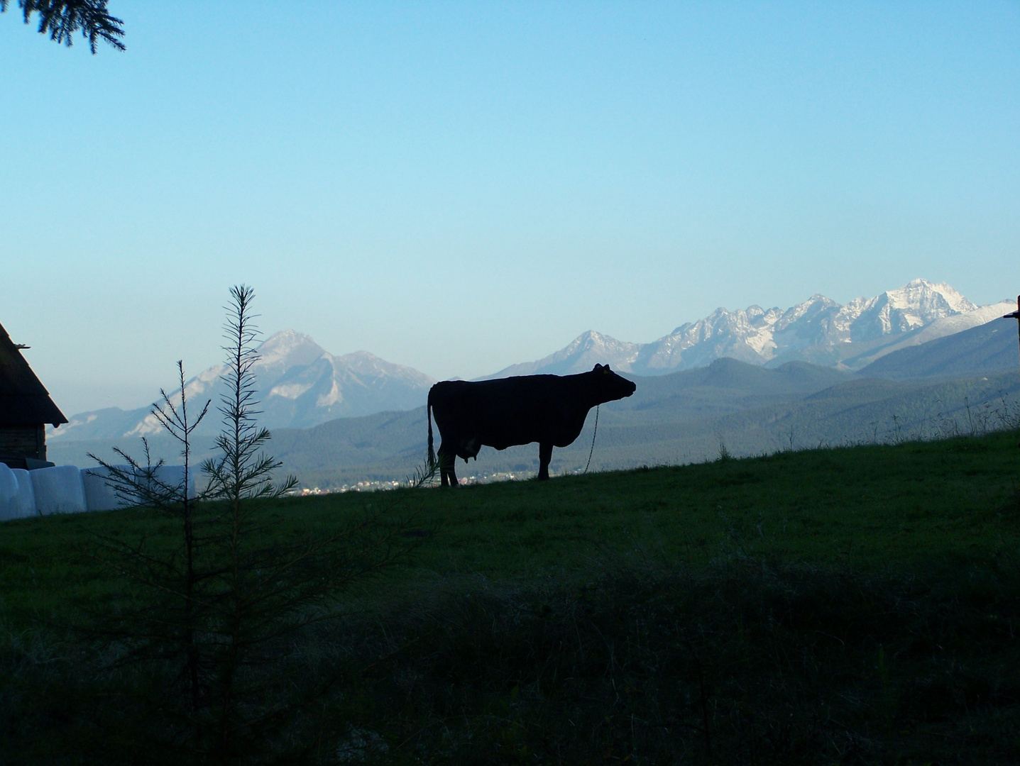 Abend in der hohen Tatra