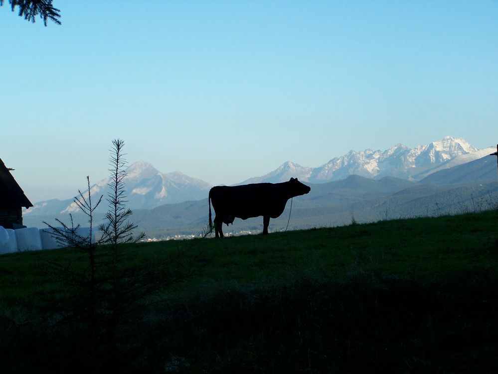 Abend in der hohen Tatra by Paul Szyrlewski 