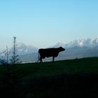 Abend in der hohen Tatra