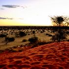 Abend in der Kalahari Wüste
