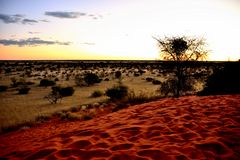 Abend in der Kalahari Wüste