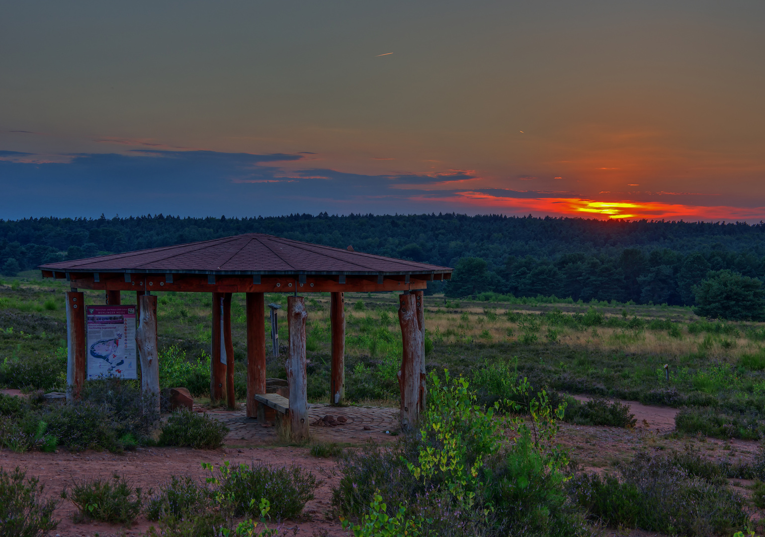 Abend in der Mehlinger Heide