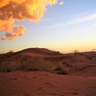 Abend in der Namib....