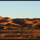 Abend in der Namib