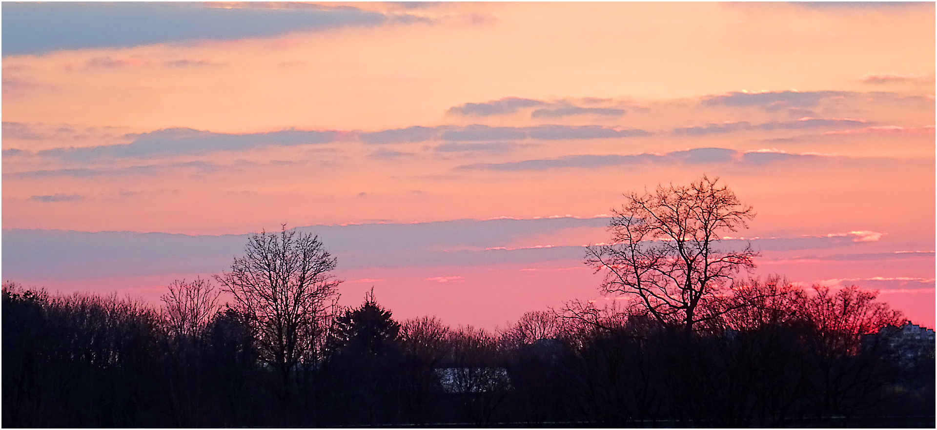 Abend in der Savanne (südlich von München)