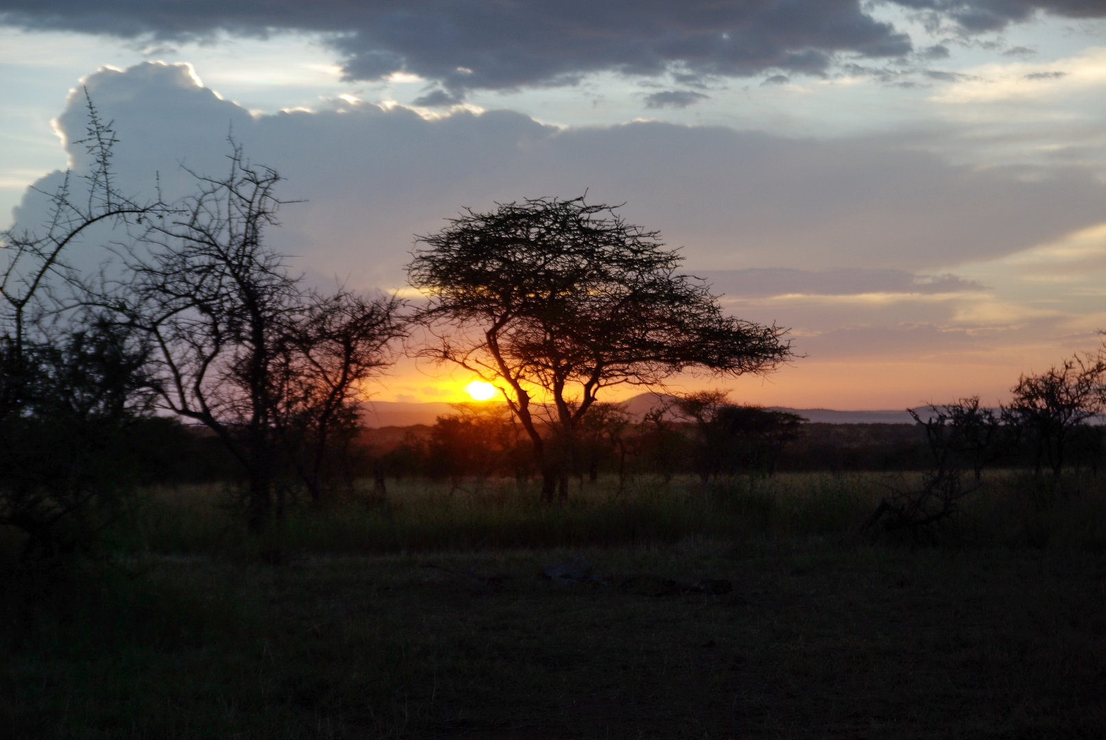 Abend in der Serengeti...