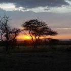 Abend in der Serengeti...