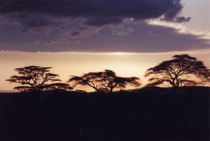 Abend in der Serengeti