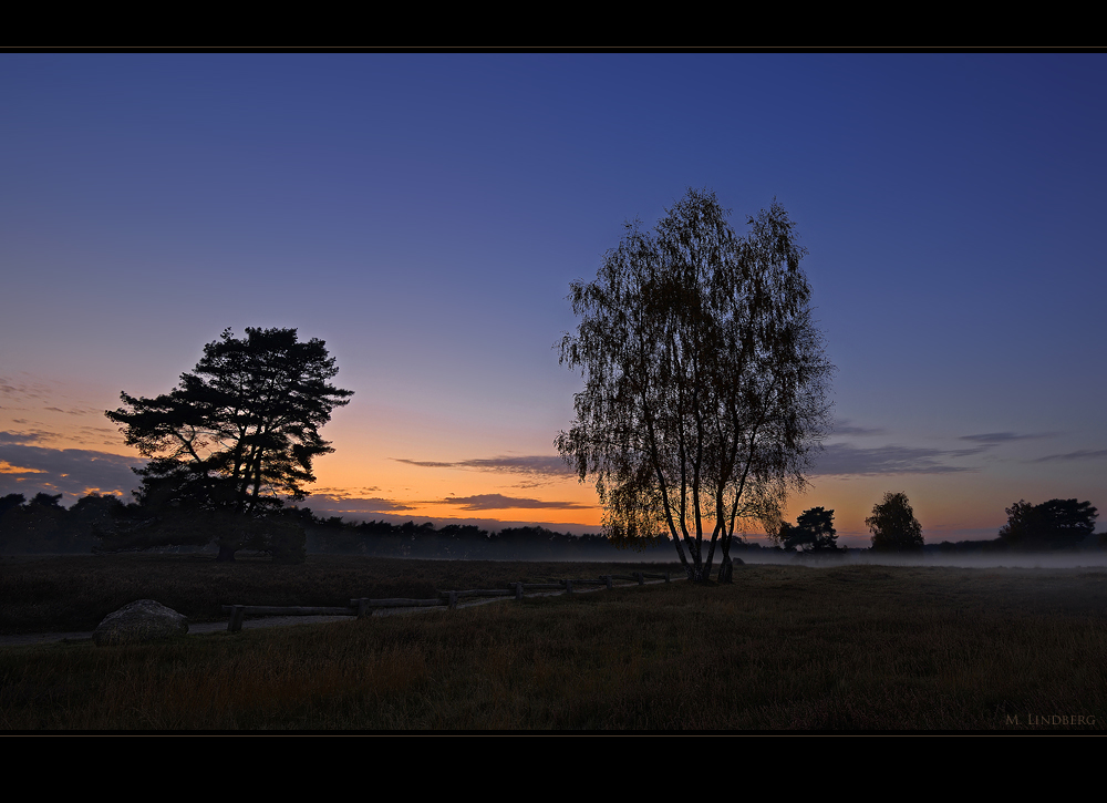 Abend in der Westruper Heide,