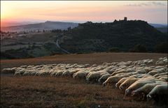 Abend in Monticchiello