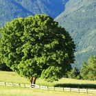 Abend in Oberbozen