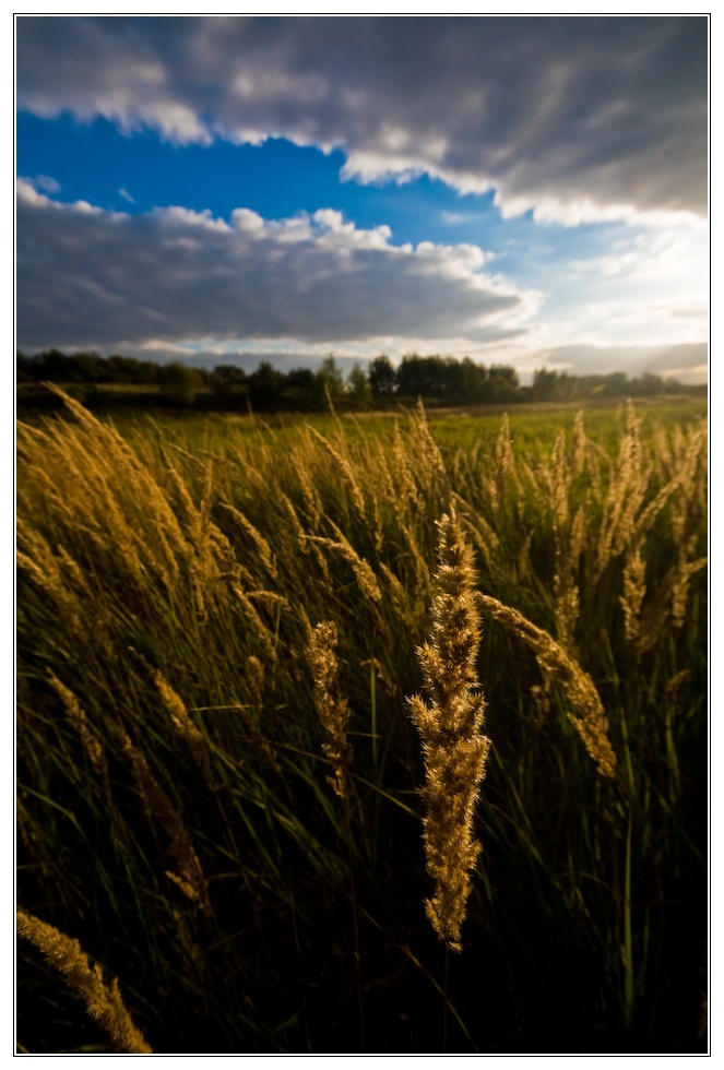 Abend in Rheinhessen...