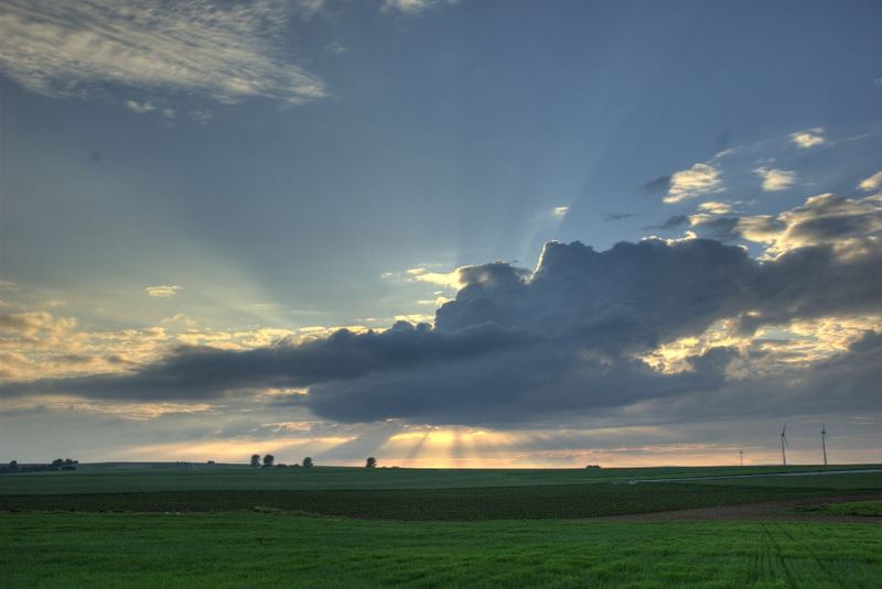 Abend in Rheinhessen