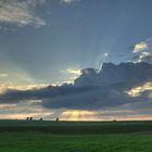 Abend in Rheinhessen