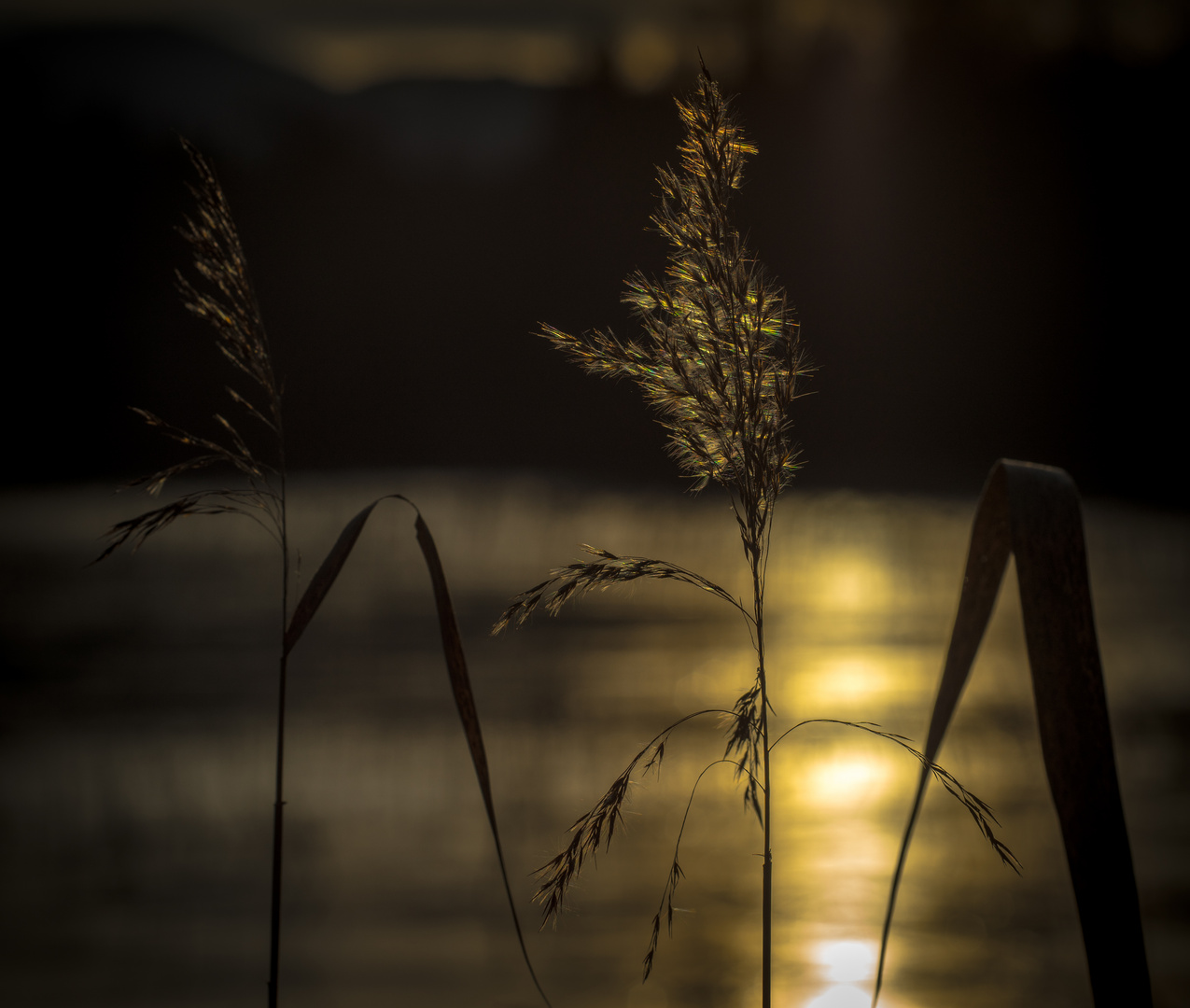 Abend in Wasserwiesen