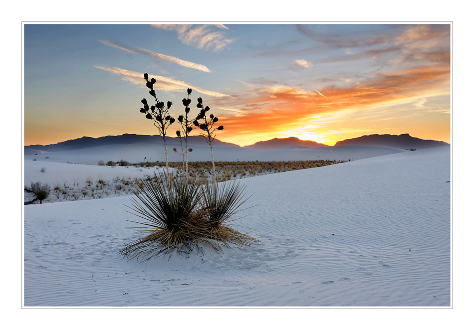 Abend in White Sands