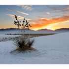 Abend in White Sands