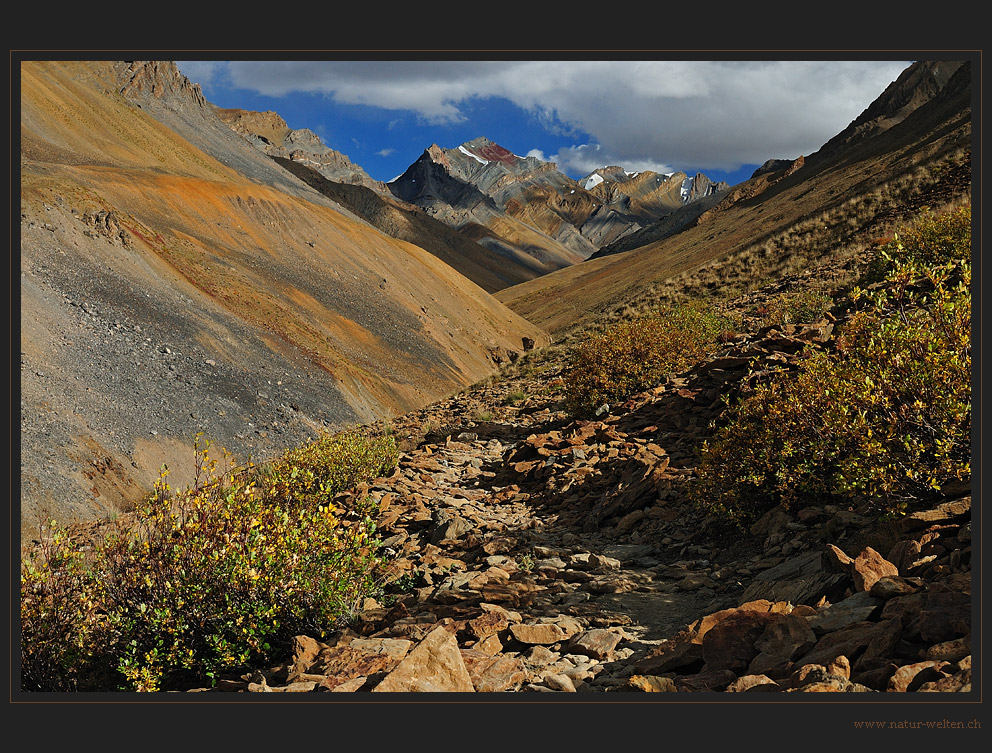 Abend in Zanskar