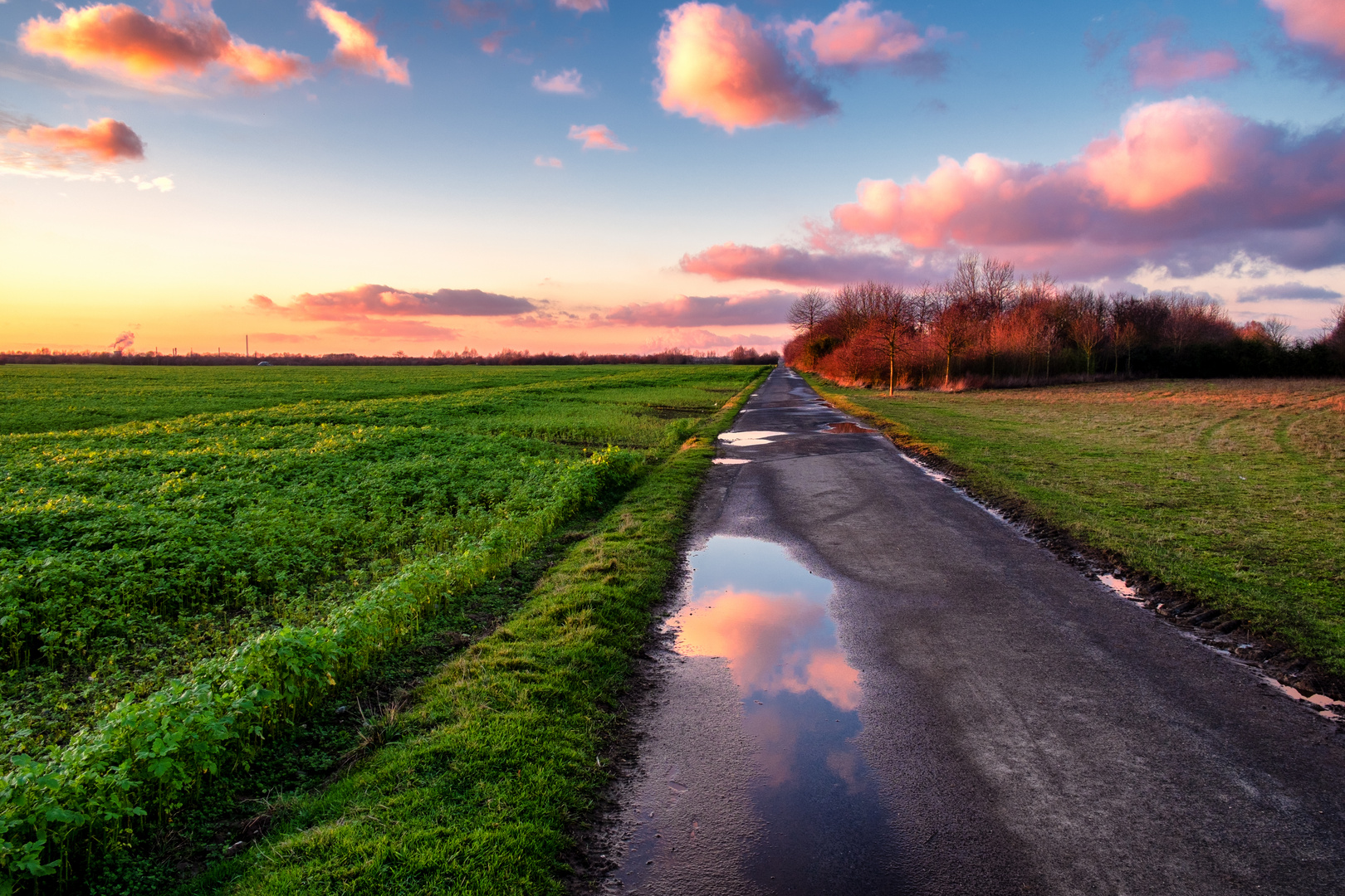 Abend Landschaft