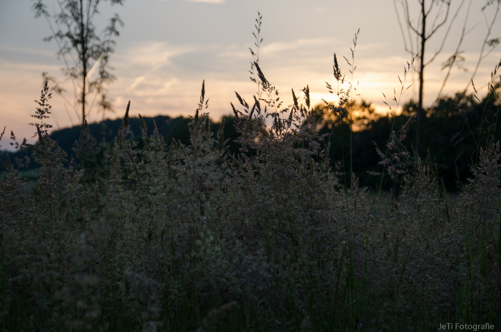 Abend Landschaft I