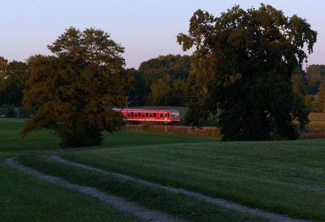 Abend-Licht-Streicheln