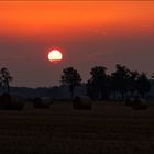 Abend nach der Ernte.