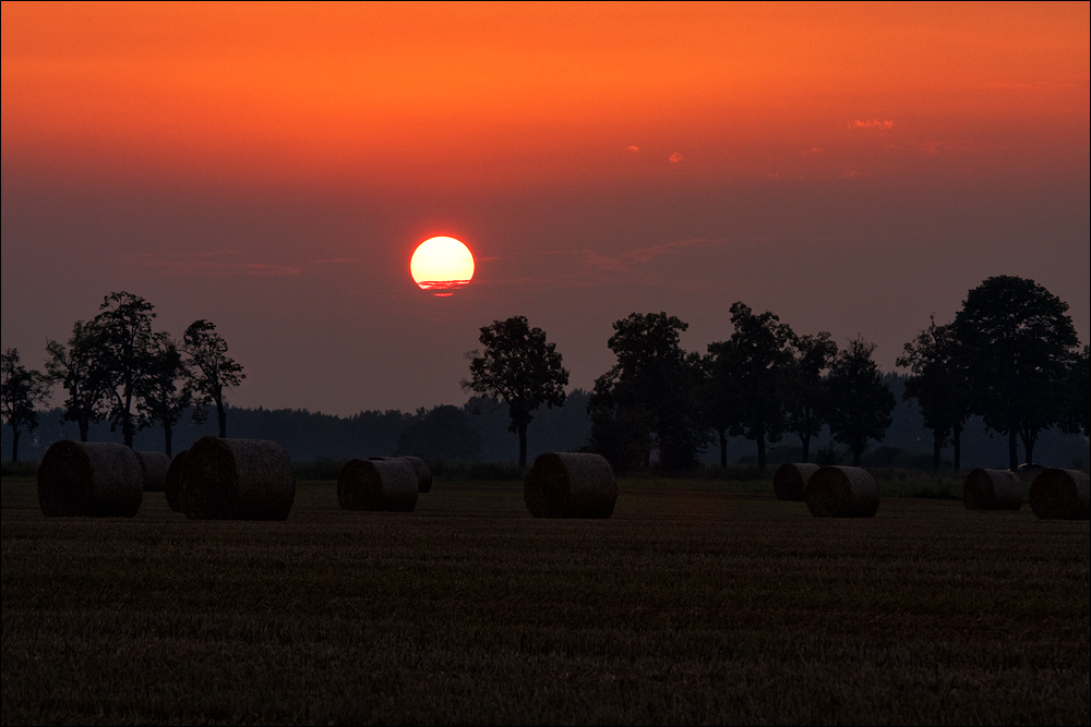 Abend nach der Ernte.