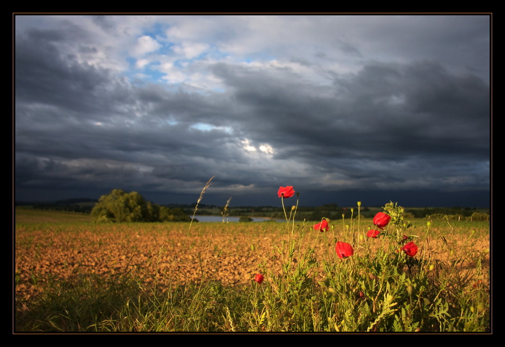 Abend-Rot