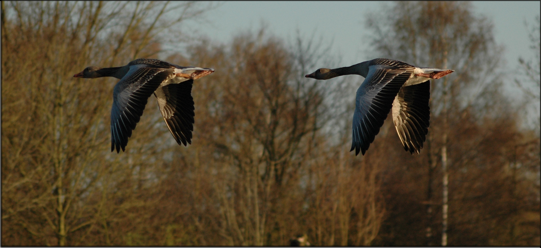 Abend-Rundflug