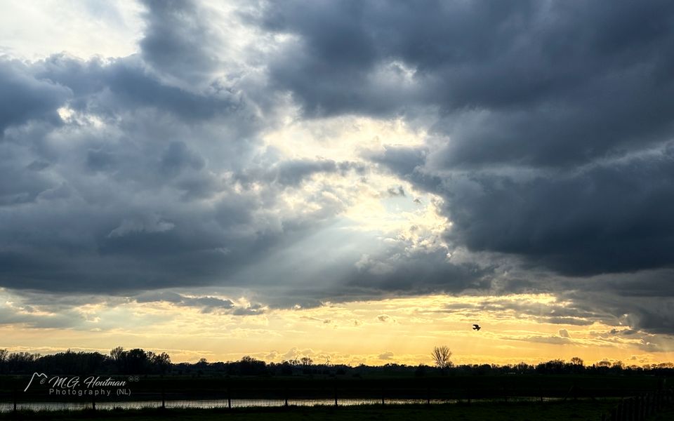 Abend Sonnenlicht über den Auen