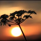 Abend - Spaziergang