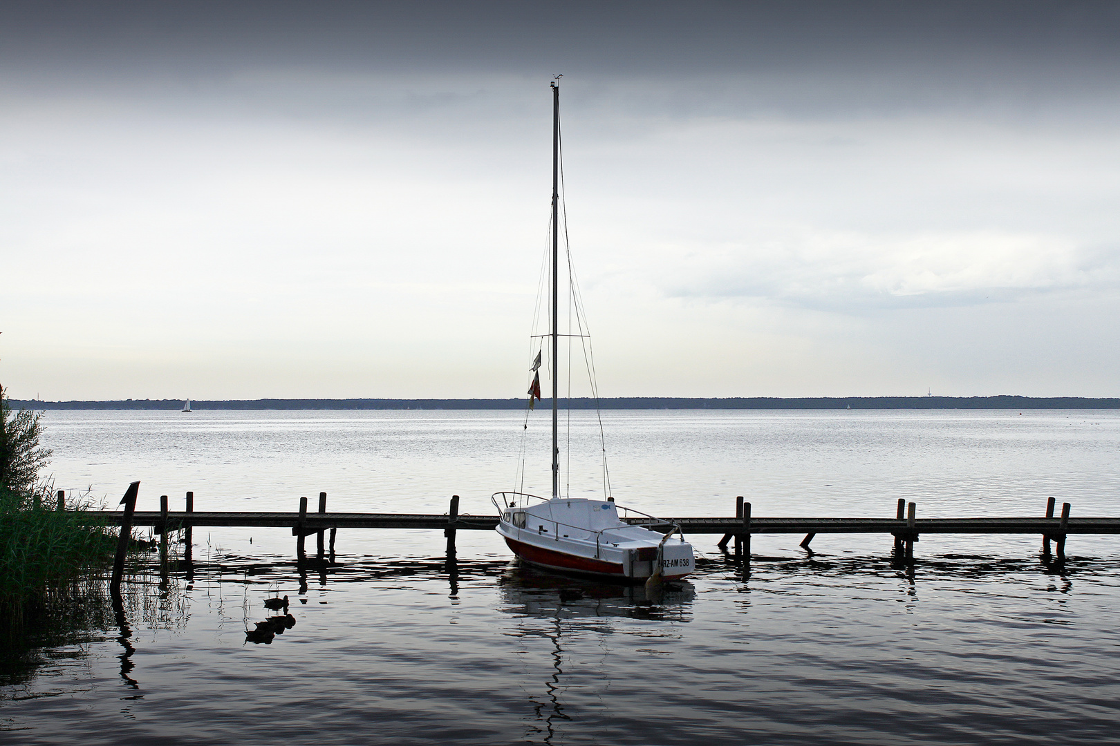 Abend- Stimmung am Steinhuder Meer