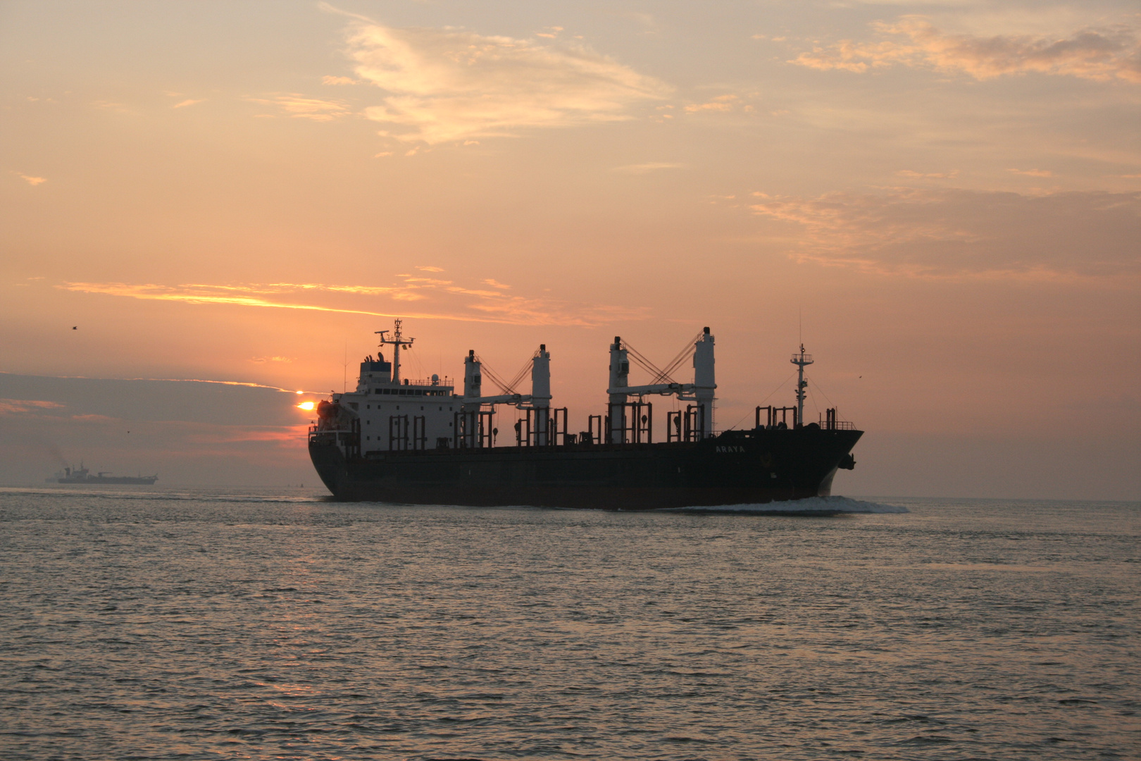 Abend Stimmung an der Schelde bei Terneuzen