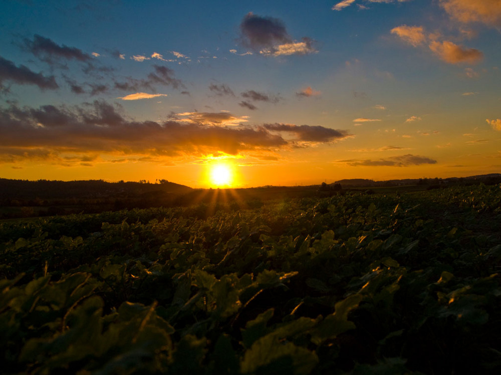 Abend über Allmersbach