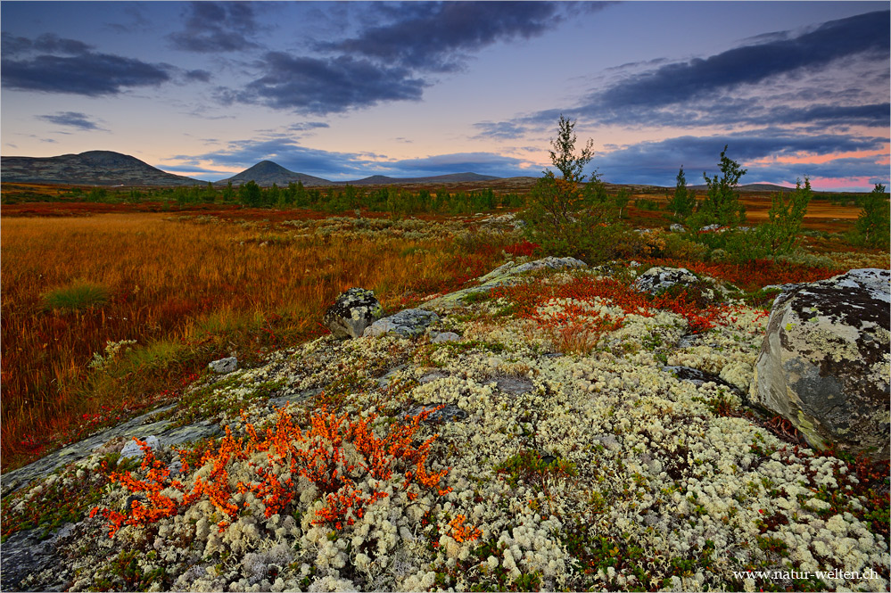 Abend über dem Fjell