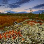 Abend über dem Fjell