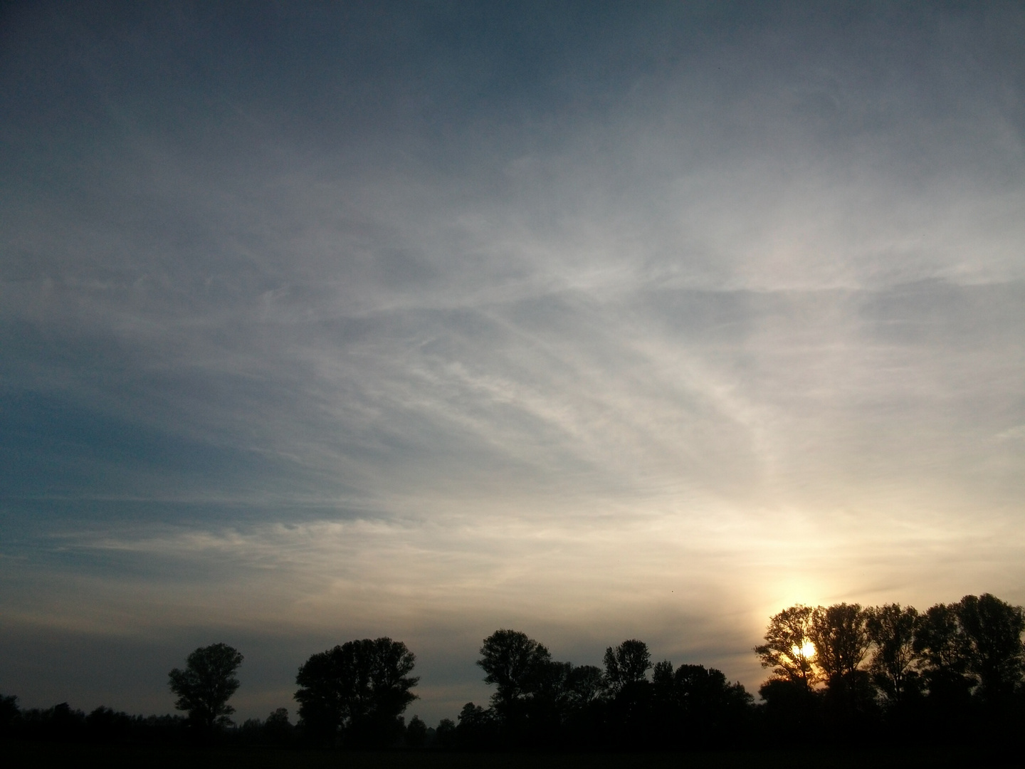 Abend über den Wiesen